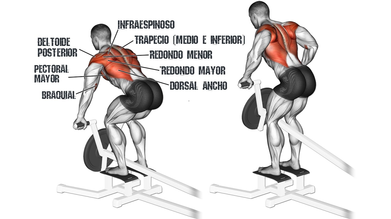 Cómo hacer remo: tipos de ejercicios y variantes