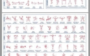 descargar rutinas musculacion pdf viewer