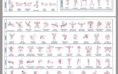 manual de rutinas de gimnasio pdf