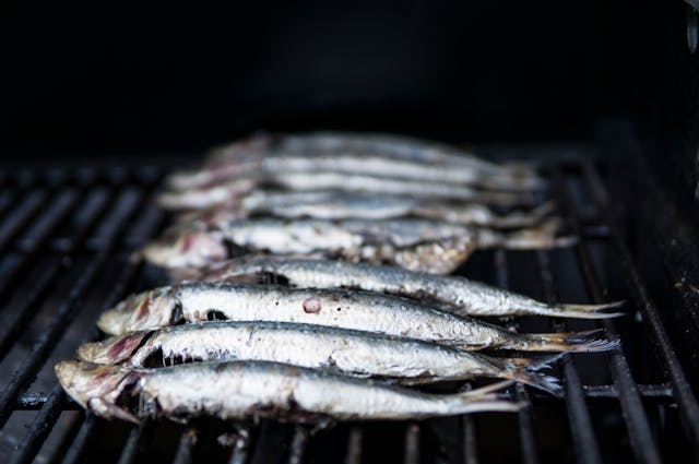 Sardinas dieta Fitness